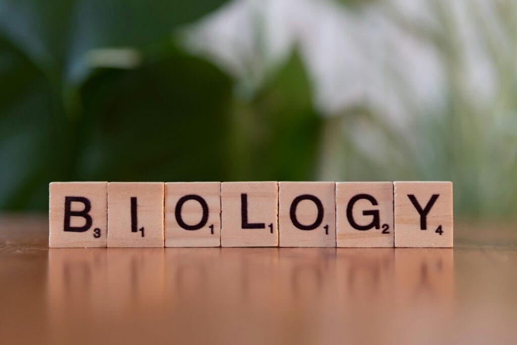 Wooden letter blocks spelling 'Biology' on a table with a green background.